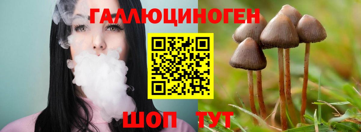 Мценск  Галлюциногенные грибы Psilocybe  Вход с VPN  Псилоцибиновые грибы MAGIC MUSHROOMS 